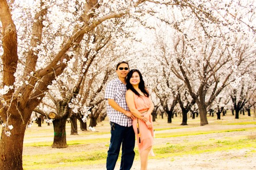 M & T and Almonds Trees